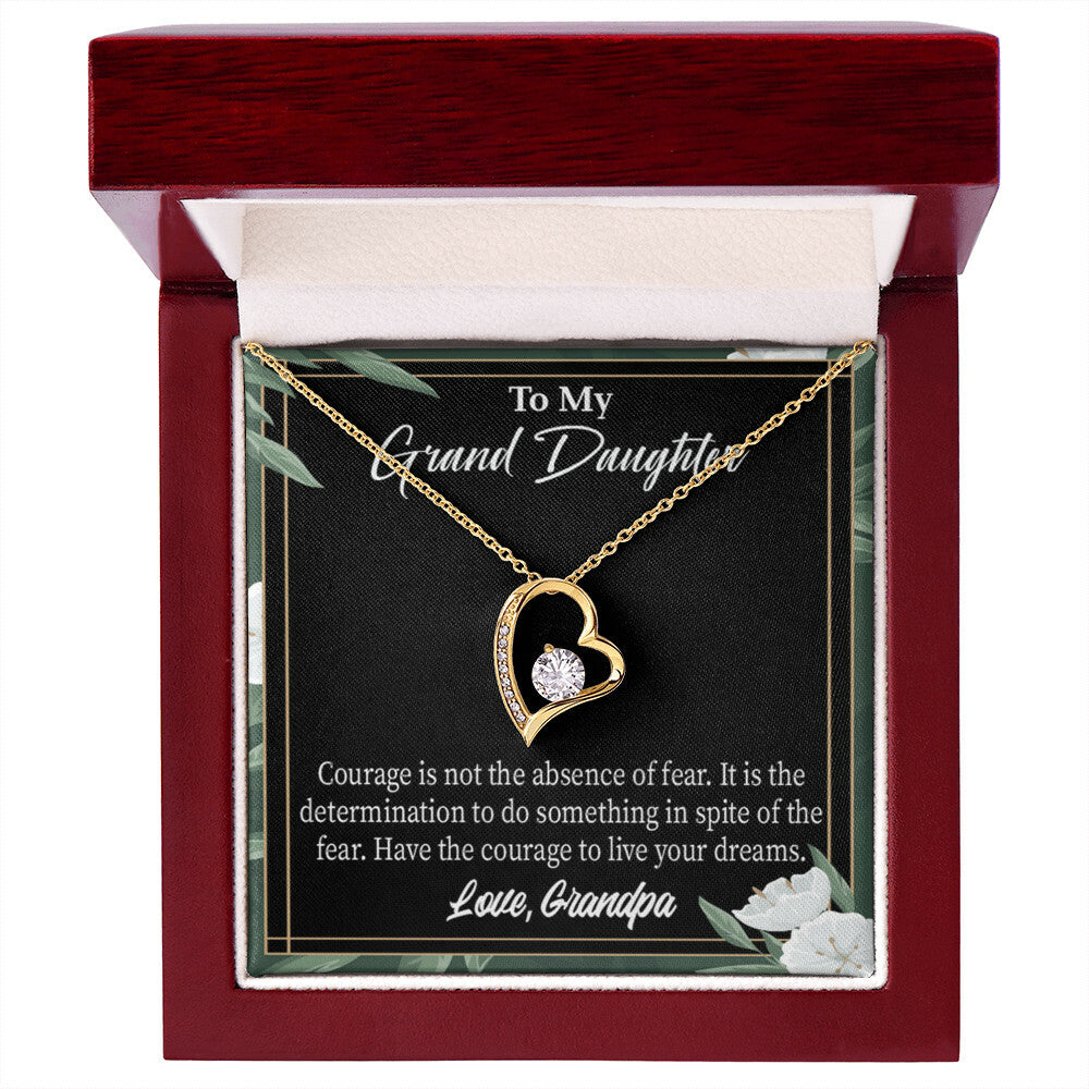 To My Granddaughter Live Your Dreams Forever Necklace w Message Card-Express Your Love Gifts