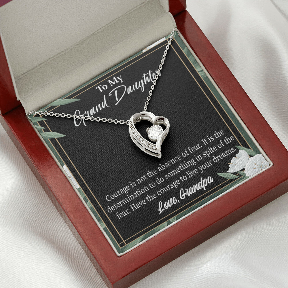 To My Granddaughter Live Your Dreams Forever Necklace w Message Card-Express Your Love Gifts