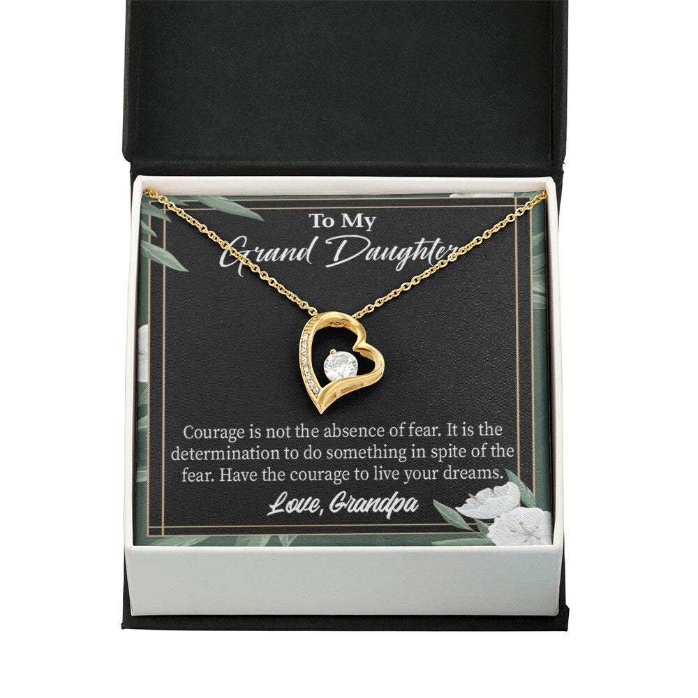 To My Granddaughter Live Your Dreams Forever Necklace w Message Card-Express Your Love Gifts