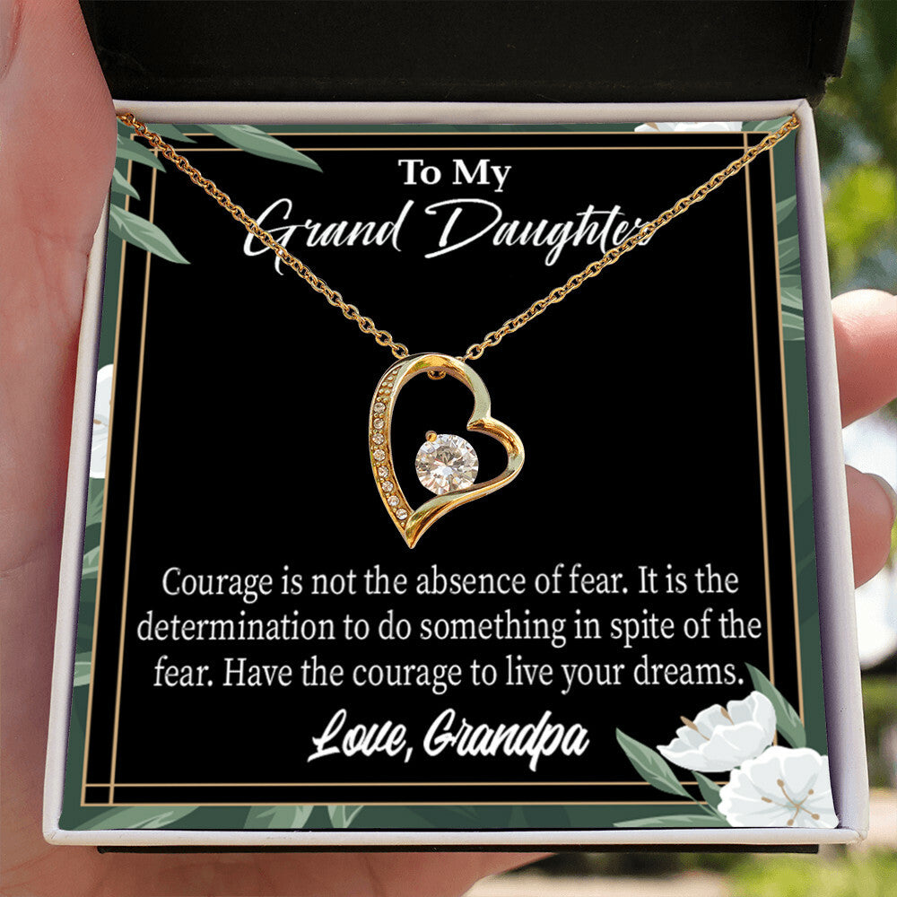 To My Granddaughter Live Your Dreams Forever Necklace w Message Card-Express Your Love Gifts