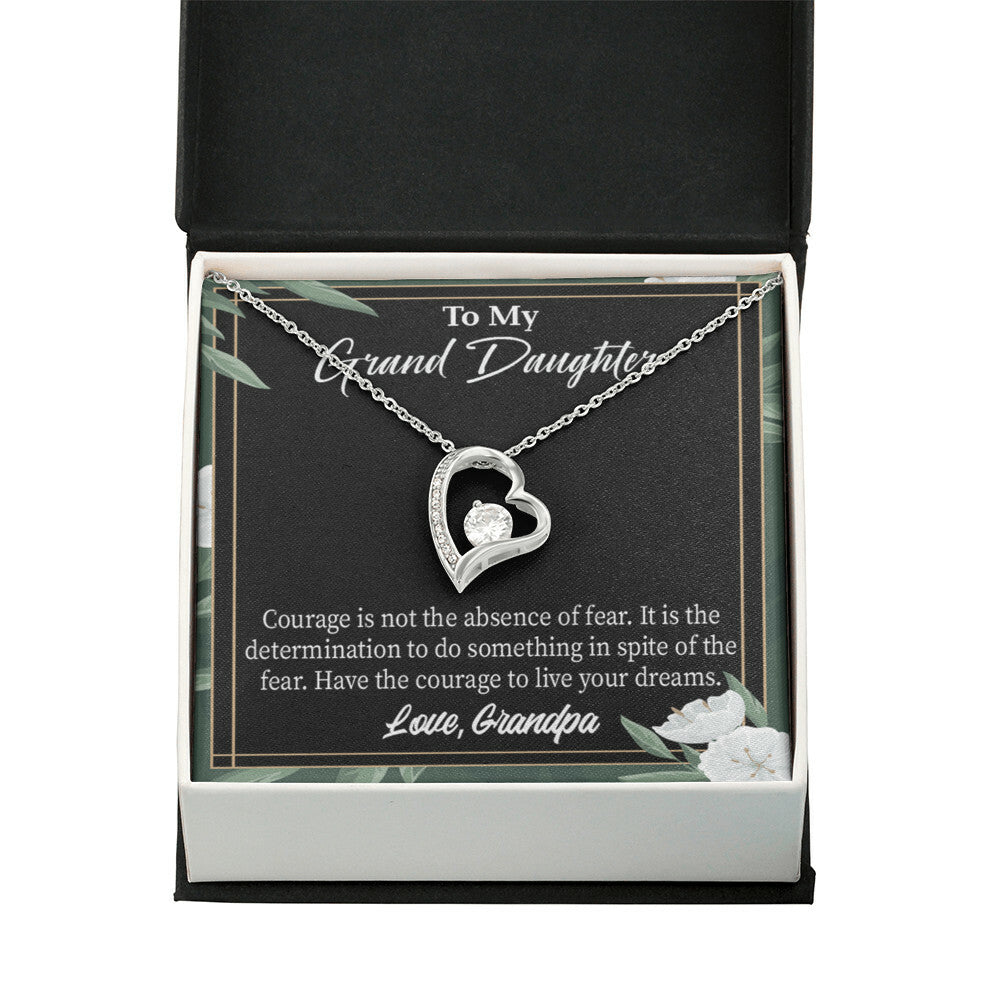 To My Granddaughter Live Your Dreams Forever Necklace w Message Card-Express Your Love Gifts