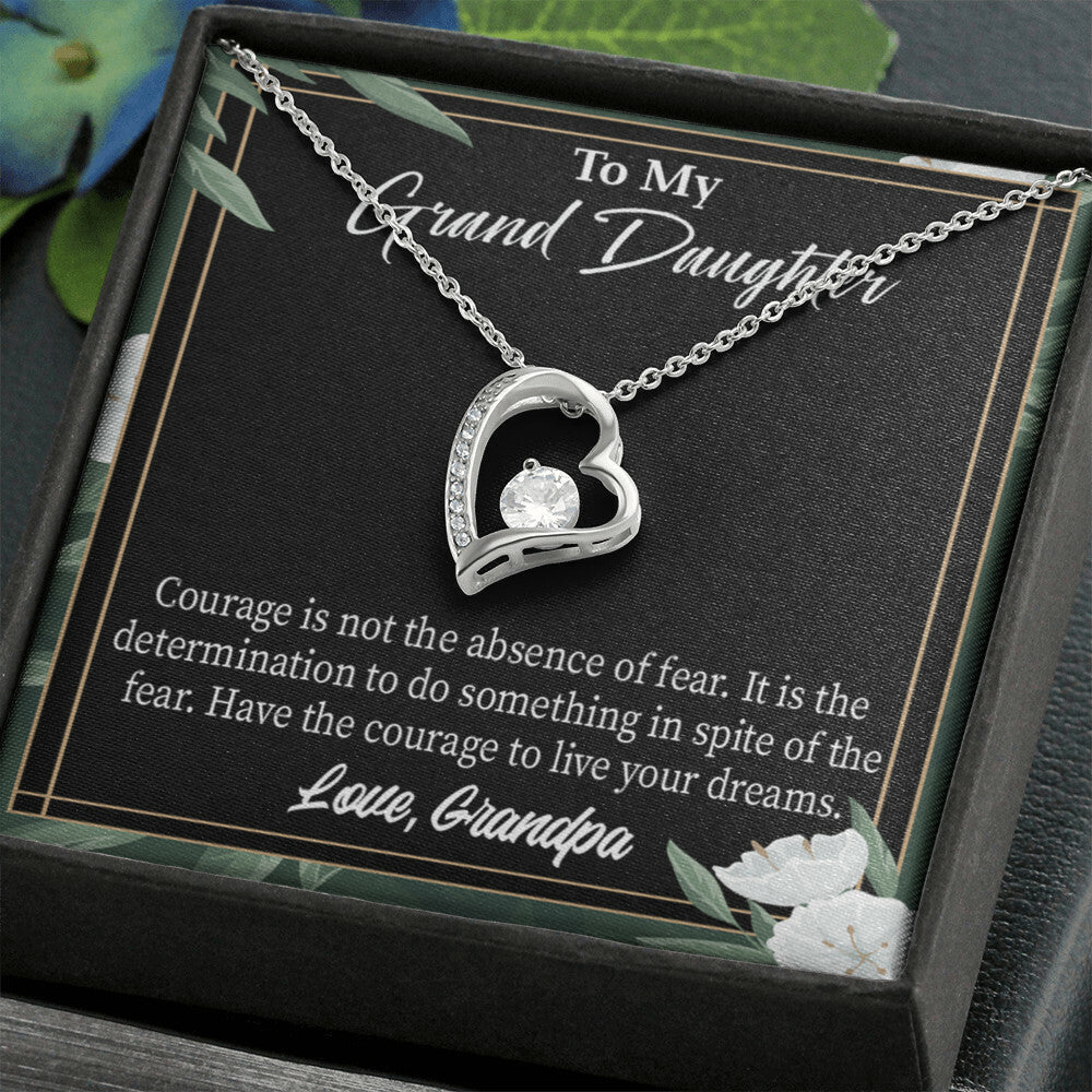 To My Granddaughter Live Your Dreams Forever Necklace w Message Card-Express Your Love Gifts