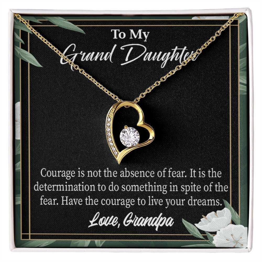 To My Granddaughter Live Your Dreams Forever Necklace w Message Card-Express Your Love Gifts