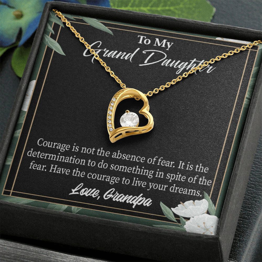 To My Granddaughter Live Your Dreams Forever Necklace w Message Card-Express Your Love Gifts