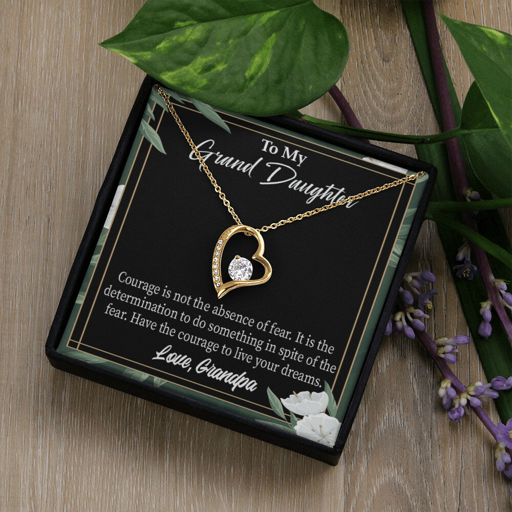 To My Granddaughter Live Your Dreams Forever Necklace w Message Card-Express Your Love Gifts