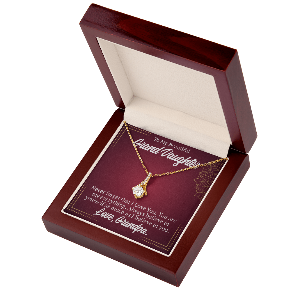 To My Granddaughter Never Forget Grandpa Alluring Ribbon Necklace Message Card-Express Your Love Gifts