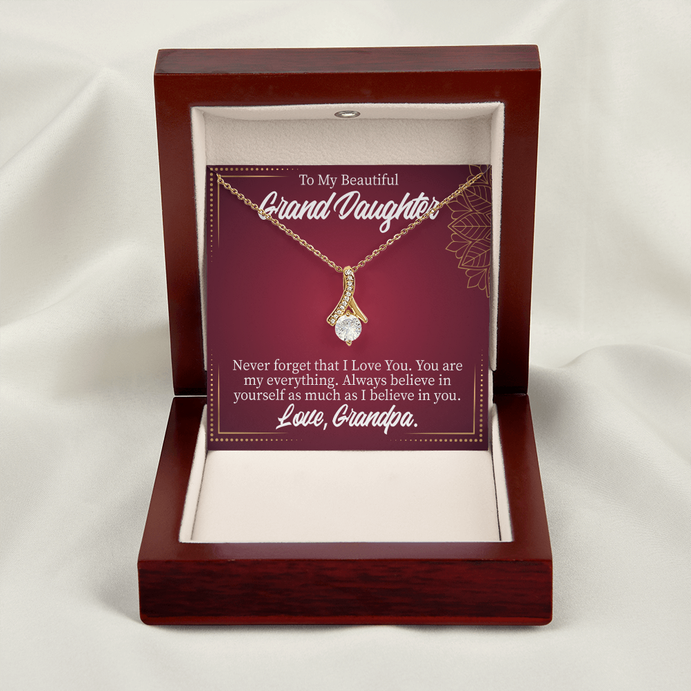 To My Granddaughter Never Forget Grandpa Alluring Ribbon Necklace Message Card-Express Your Love Gifts
