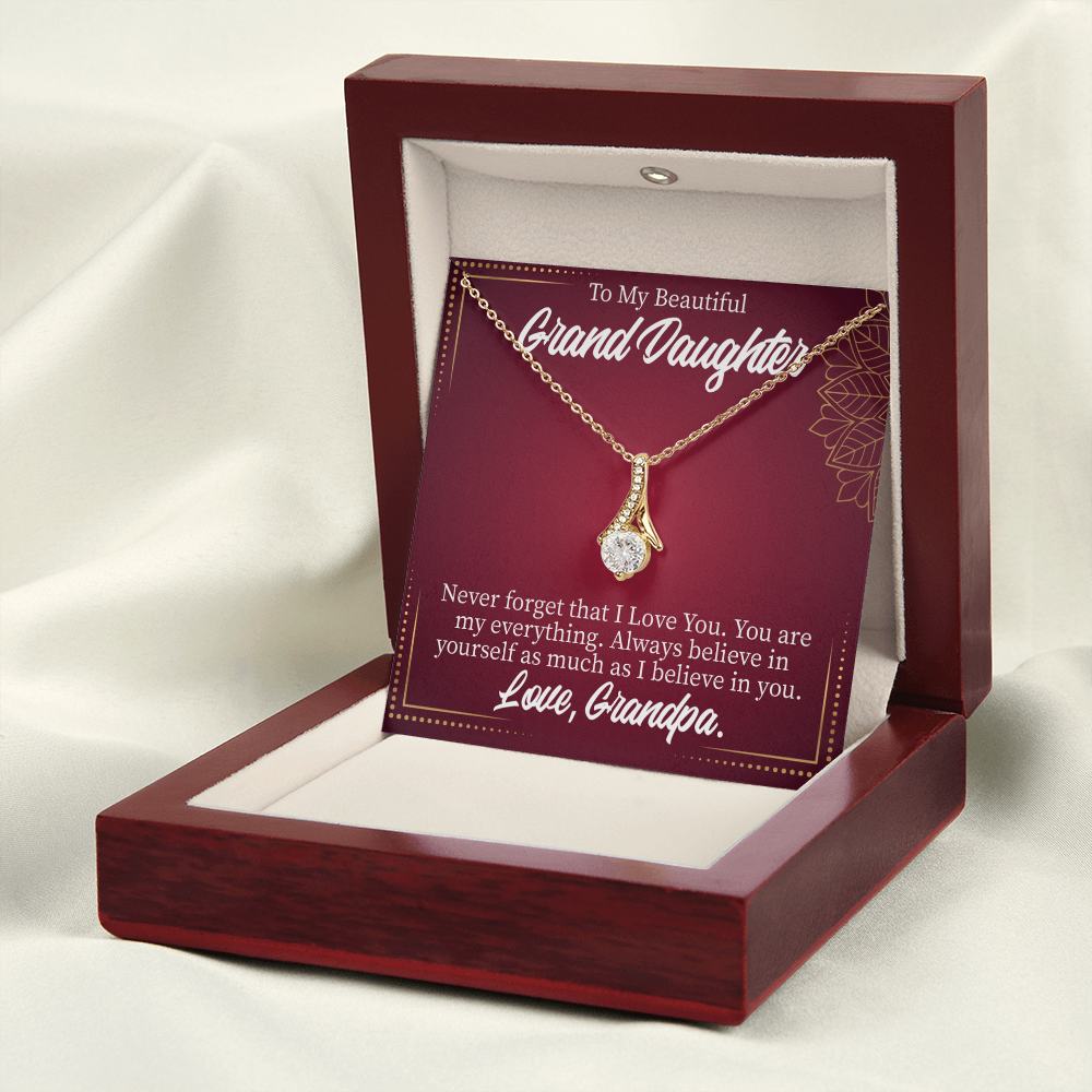 To My Granddaughter Never Forget Grandpa Alluring Ribbon Necklace Message Card-Express Your Love Gifts