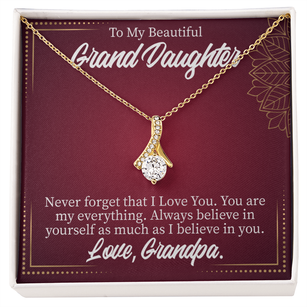 To My Granddaughter Never Forget Grandpa Alluring Ribbon Necklace Message Card-Express Your Love Gifts