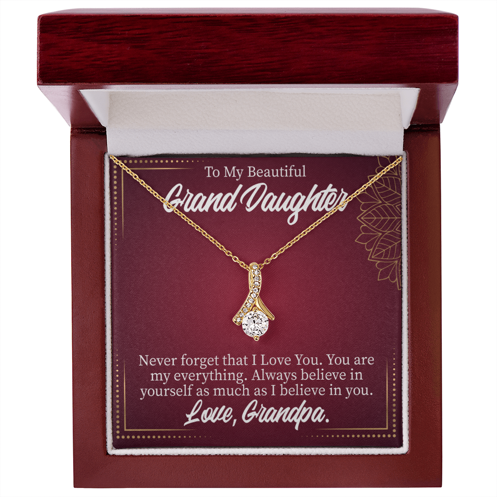 To My Granddaughter Never Forget Grandpa Alluring Ribbon Necklace Message Card-Express Your Love Gifts
