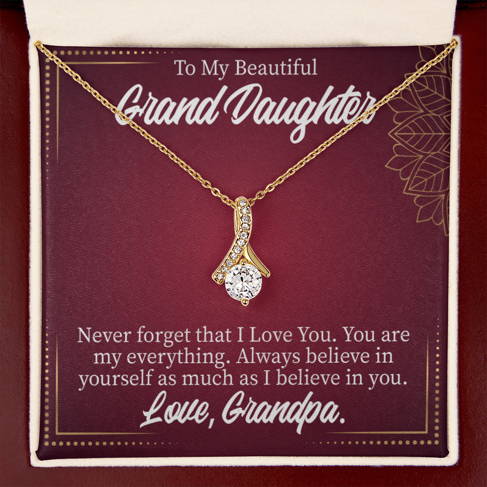 To My Granddaughter Never Forget Grandpa Alluring Ribbon Necklace Message Card-Express Your Love Gifts