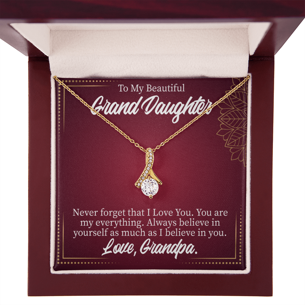 To My Granddaughter Never Forget Grandpa Alluring Ribbon Necklace Message Card-Express Your Love Gifts