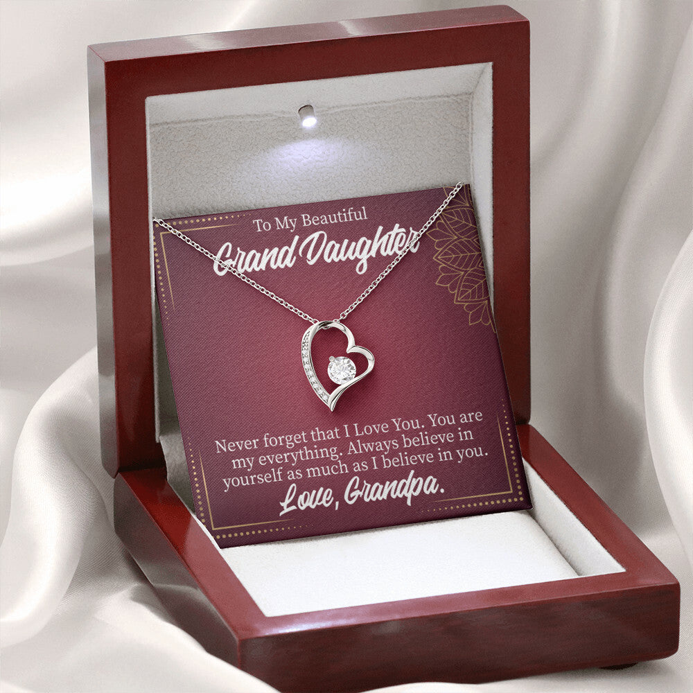 To My Granddaughter Never Forget Grandpa Forever Necklace w Message Card-Express Your Love Gifts