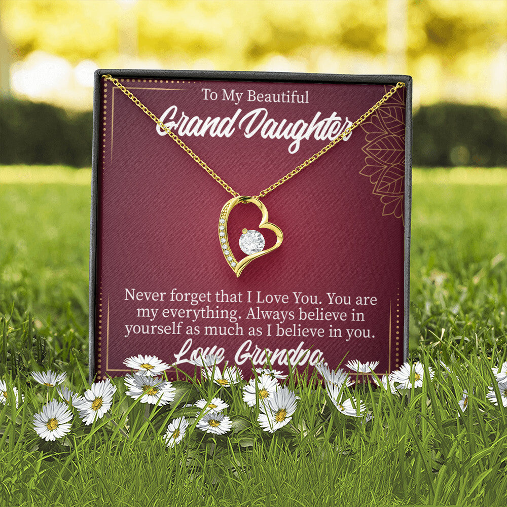 To My Granddaughter Never Forget Grandpa Forever Necklace w Message Card-Express Your Love Gifts