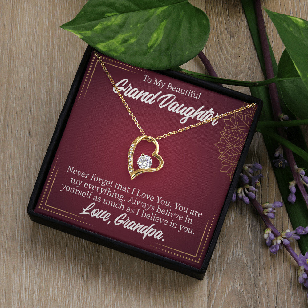 To My Granddaughter Never Forget Grandpa Forever Necklace w Message Card-Express Your Love Gifts