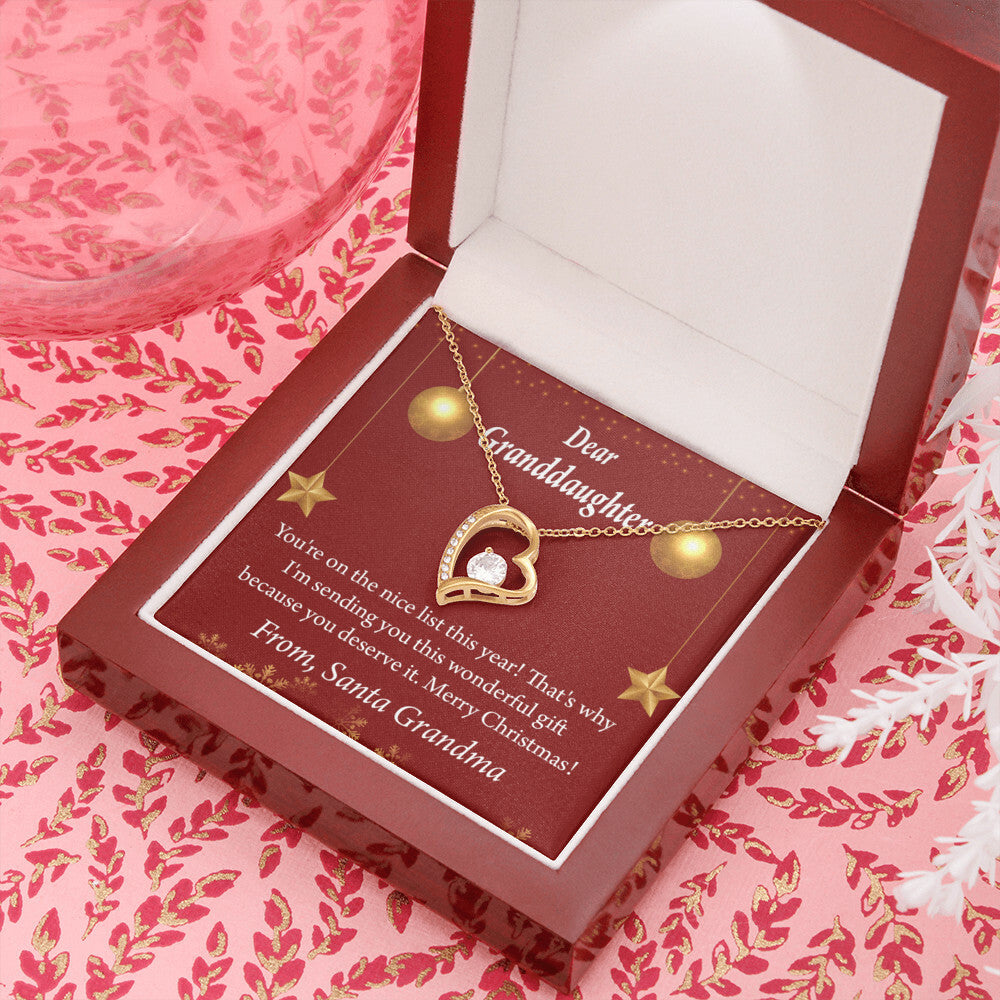 To My Granddaughter On The Nice List Christmas Message Forever Necklace w Message Card-Express Your Love Gifts