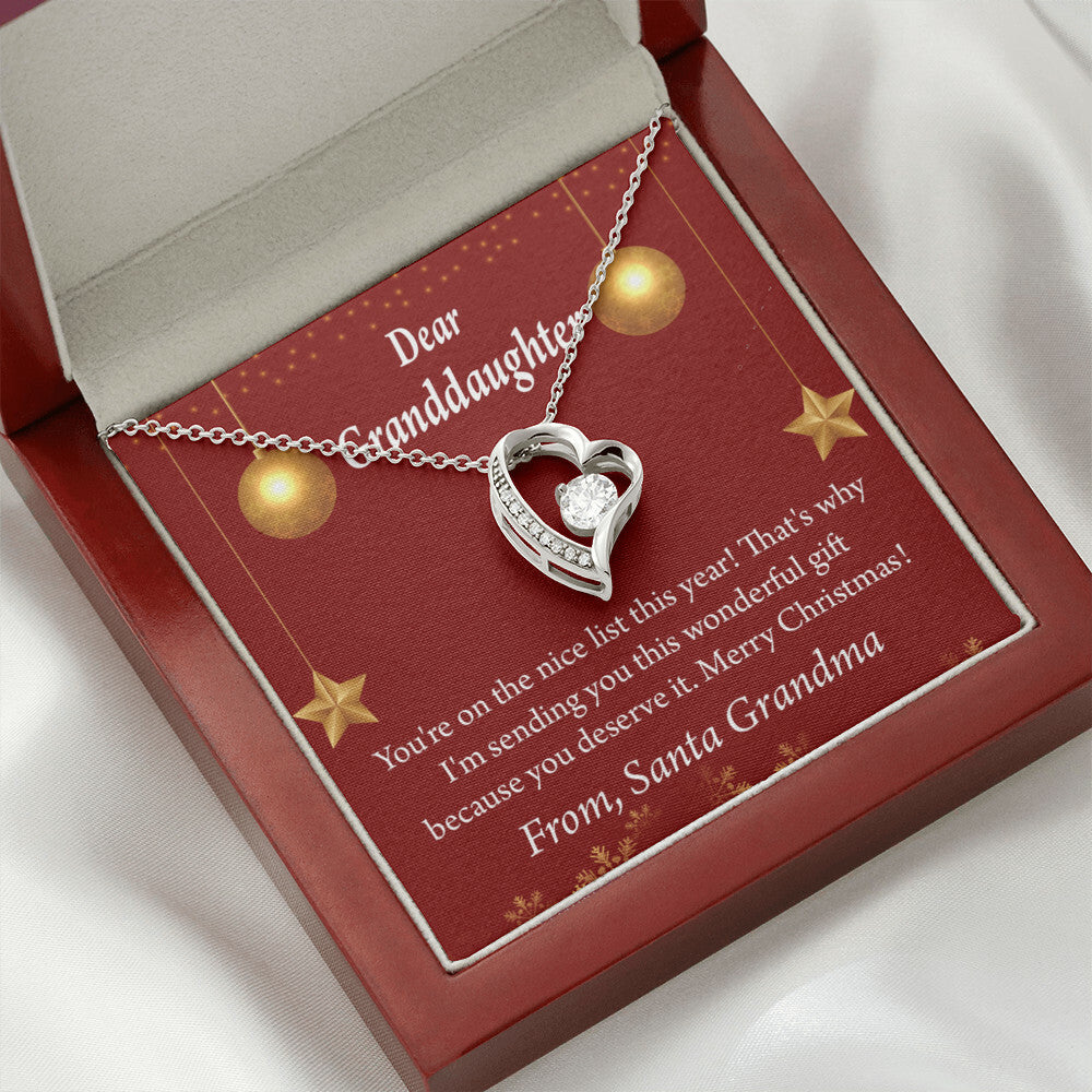 To My Granddaughter On The Nice List Christmas Message Forever Necklace w Message Card-Express Your Love Gifts