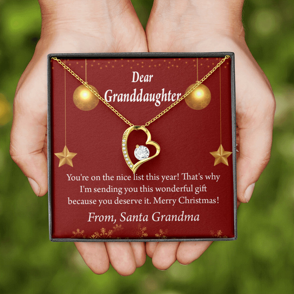 To My Granddaughter On The Nice List Christmas Message Forever Necklace w Message Card-Express Your Love Gifts