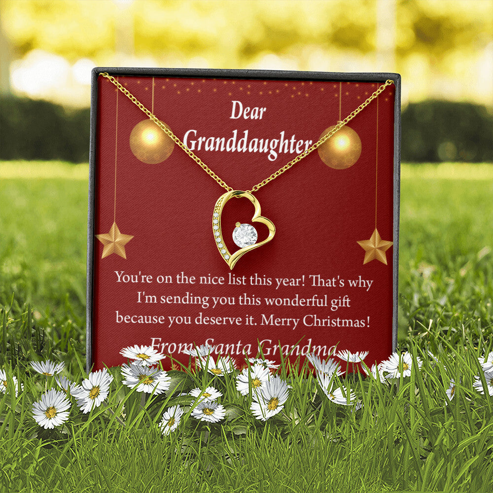 To My Granddaughter On The Nice List Christmas Message Forever Necklace w Message Card-Express Your Love Gifts