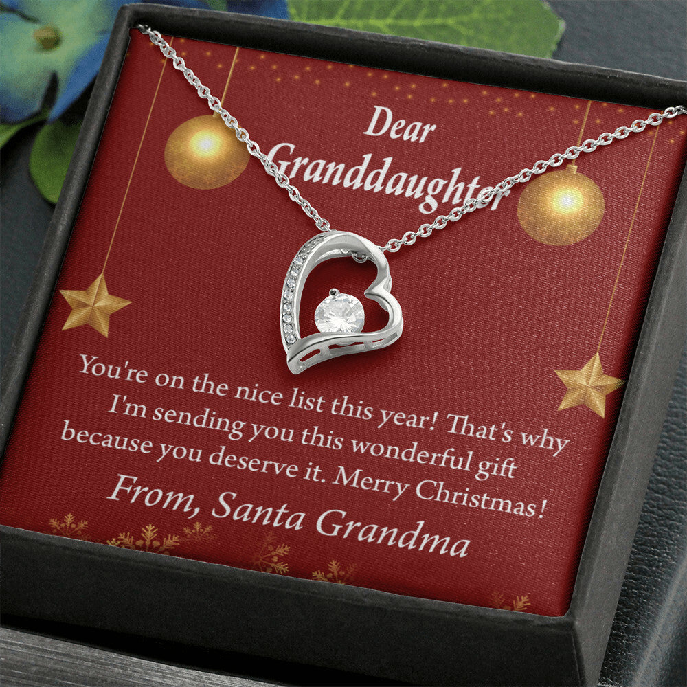 To My Granddaughter On The Nice List Christmas Message Forever Necklace w Message Card-Express Your Love Gifts