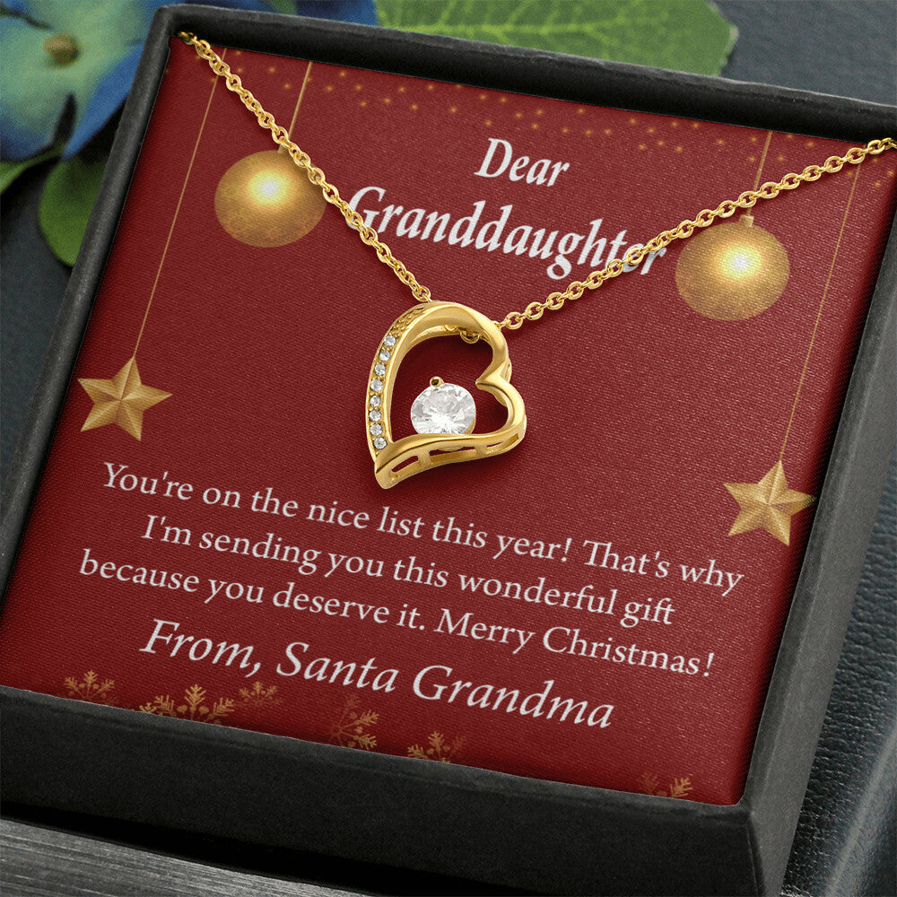 To My Granddaughter On The Nice List Christmas Message Forever Necklace w Message Card-Express Your Love Gifts