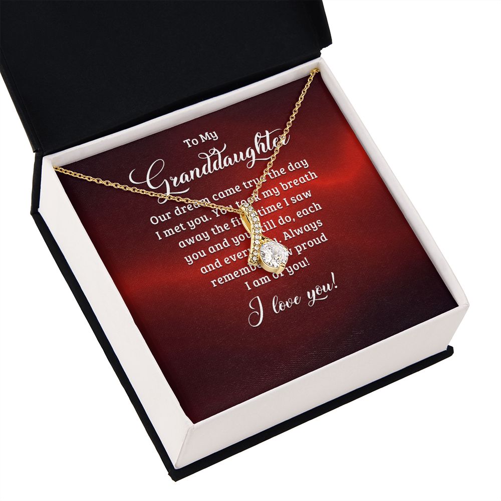 To My Granddaughter Our Dream Came True Alluring Ribbon Necklace Message Card-Express Your Love Gifts