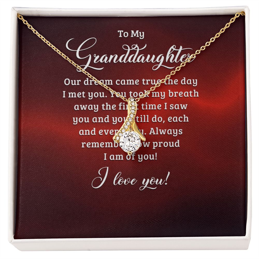 To My Granddaughter Our Dream Came True Alluring Ribbon Necklace Message Card-Express Your Love Gifts