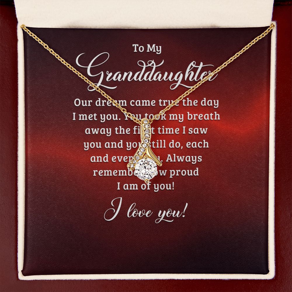 To My Granddaughter Our Dream Came True Alluring Ribbon Necklace Message Card-Express Your Love Gifts