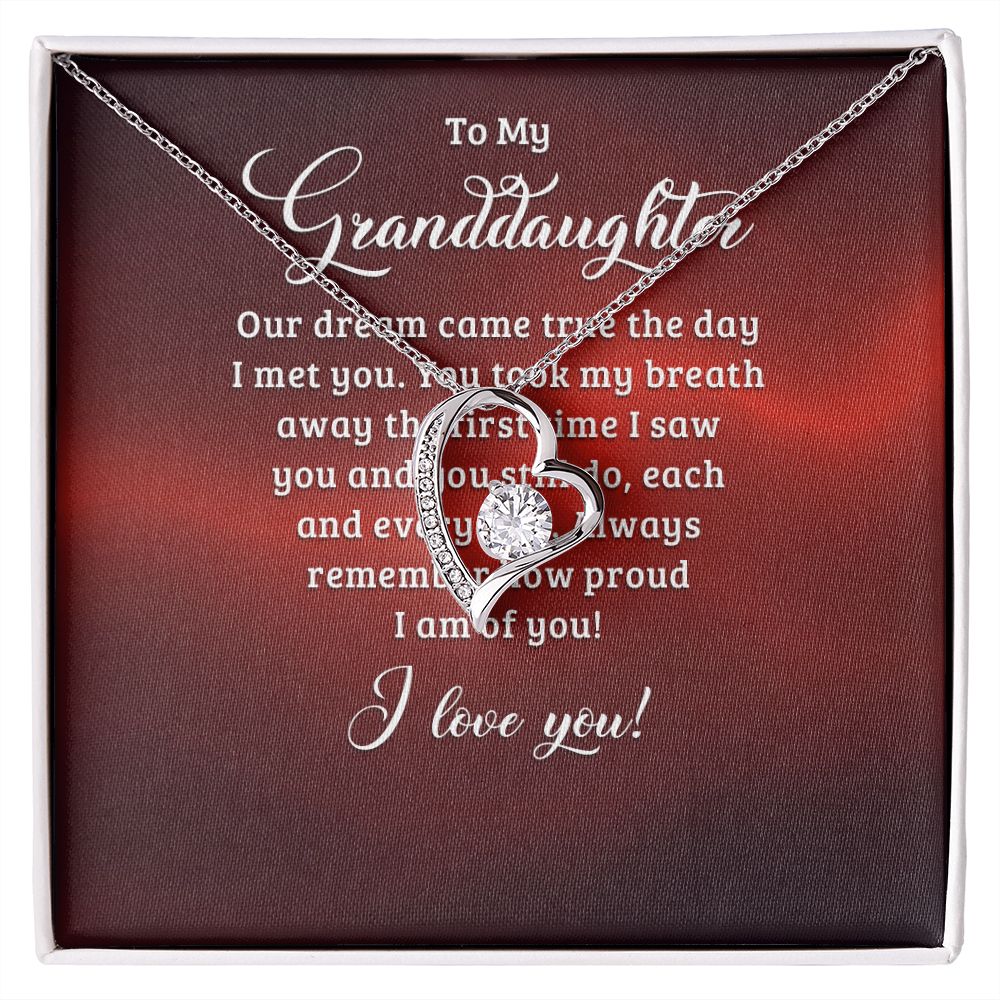 To My Granddaughter Our Dream Came True Forever Necklace w Message Card-Express Your Love Gifts