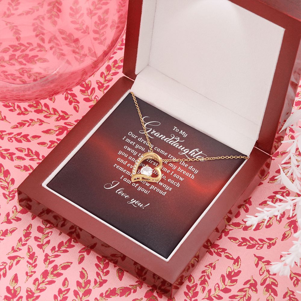 To My Granddaughter Our Dream Came True Forever Necklace w Message Card-Express Your Love Gifts