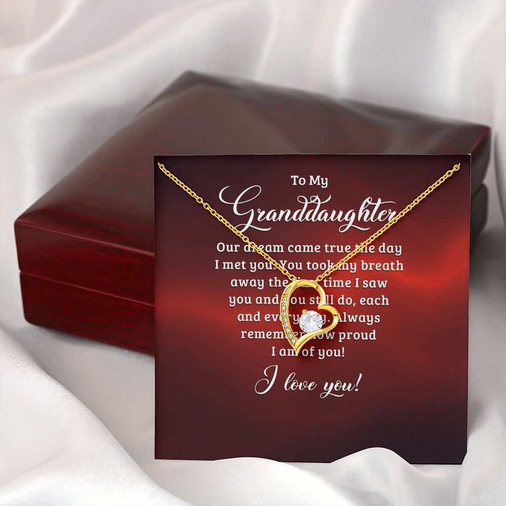 To My Granddaughter Our Dream Came True Forever Necklace w Message Card-Express Your Love Gifts