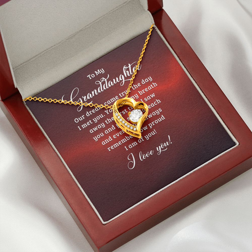To My Granddaughter Our Dream Came True Forever Necklace w Message Card-Express Your Love Gifts