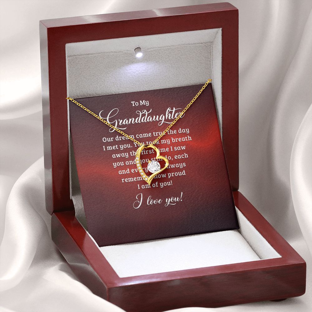 To My Granddaughter Our Dream Came True Forever Necklace w Message Card-Express Your Love Gifts