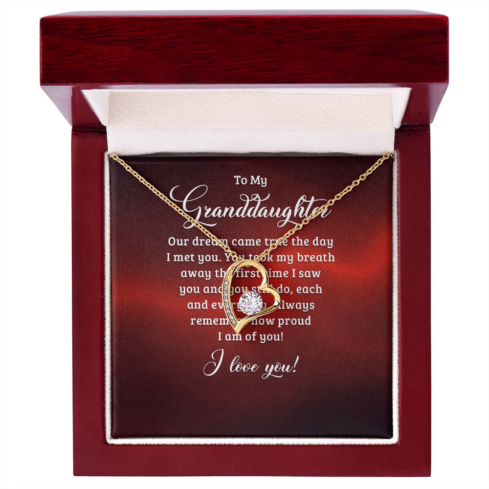 To My Granddaughter Our Dream Came True Forever Necklace w Message Card-Express Your Love Gifts