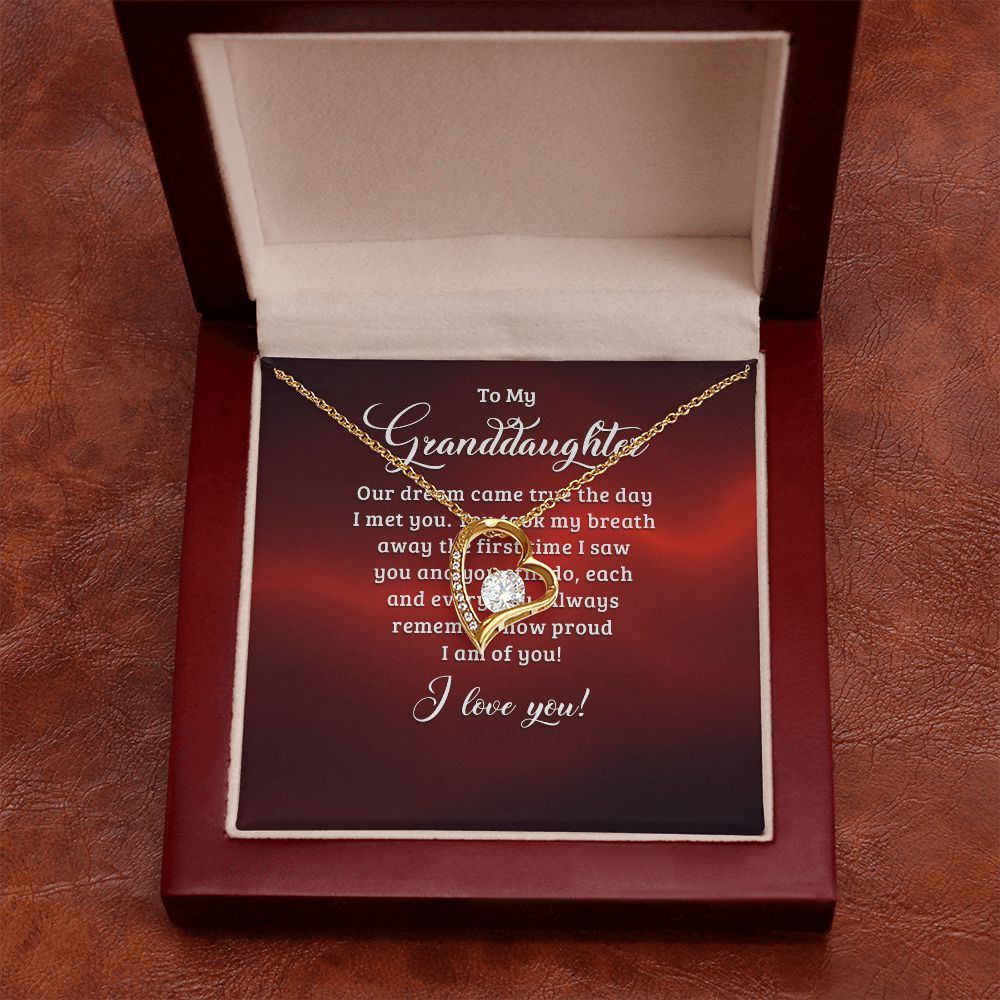 To My Granddaughter Our Dream Came True Forever Necklace w Message Card-Express Your Love Gifts