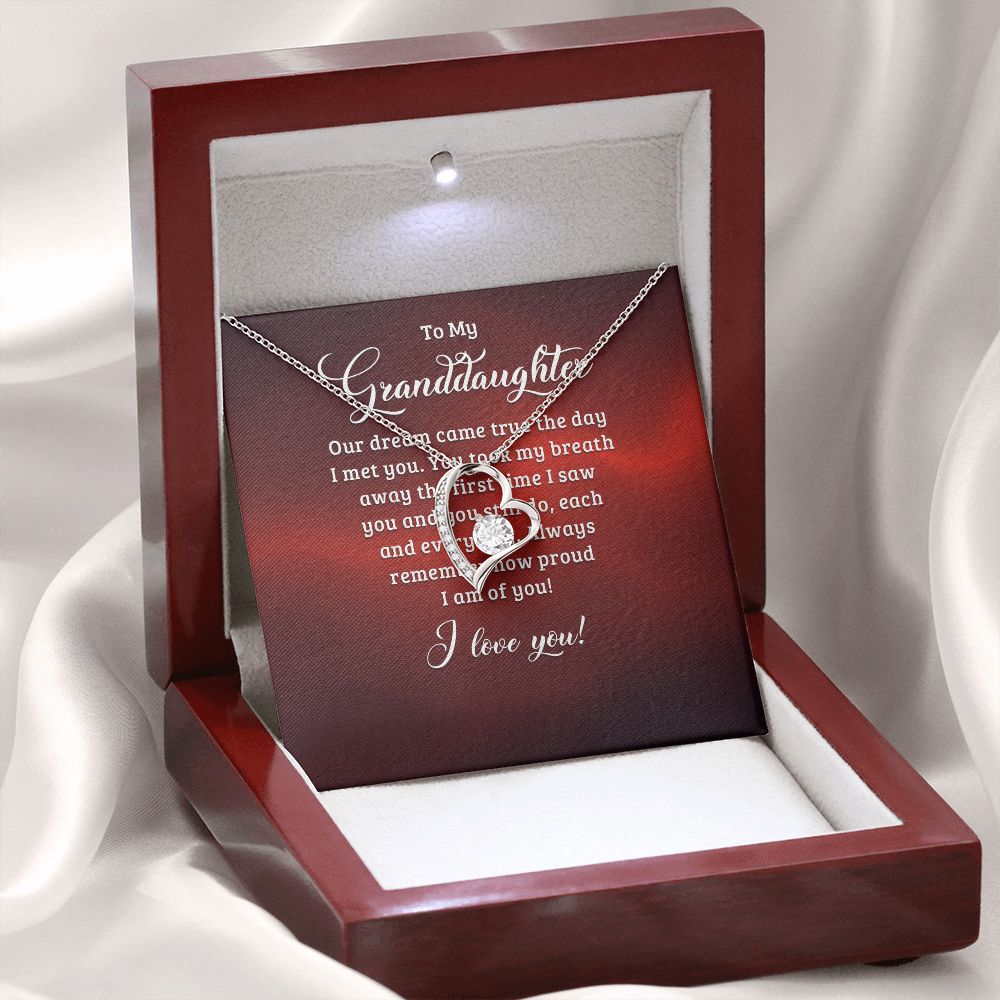 To My Granddaughter Our Dream Came True Forever Necklace w Message Card-Express Your Love Gifts
