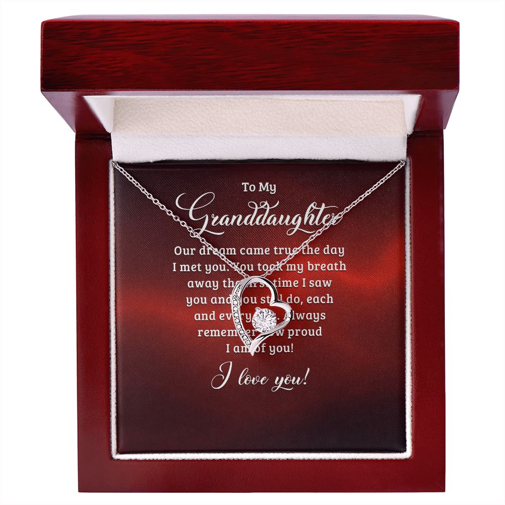 To My Granddaughter Our Dream Came True Forever Necklace w Message Card-Express Your Love Gifts