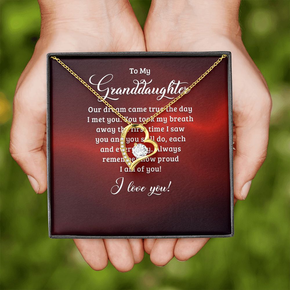 To My Granddaughter Our Dream Came True Forever Necklace w Message Card-Express Your Love Gifts