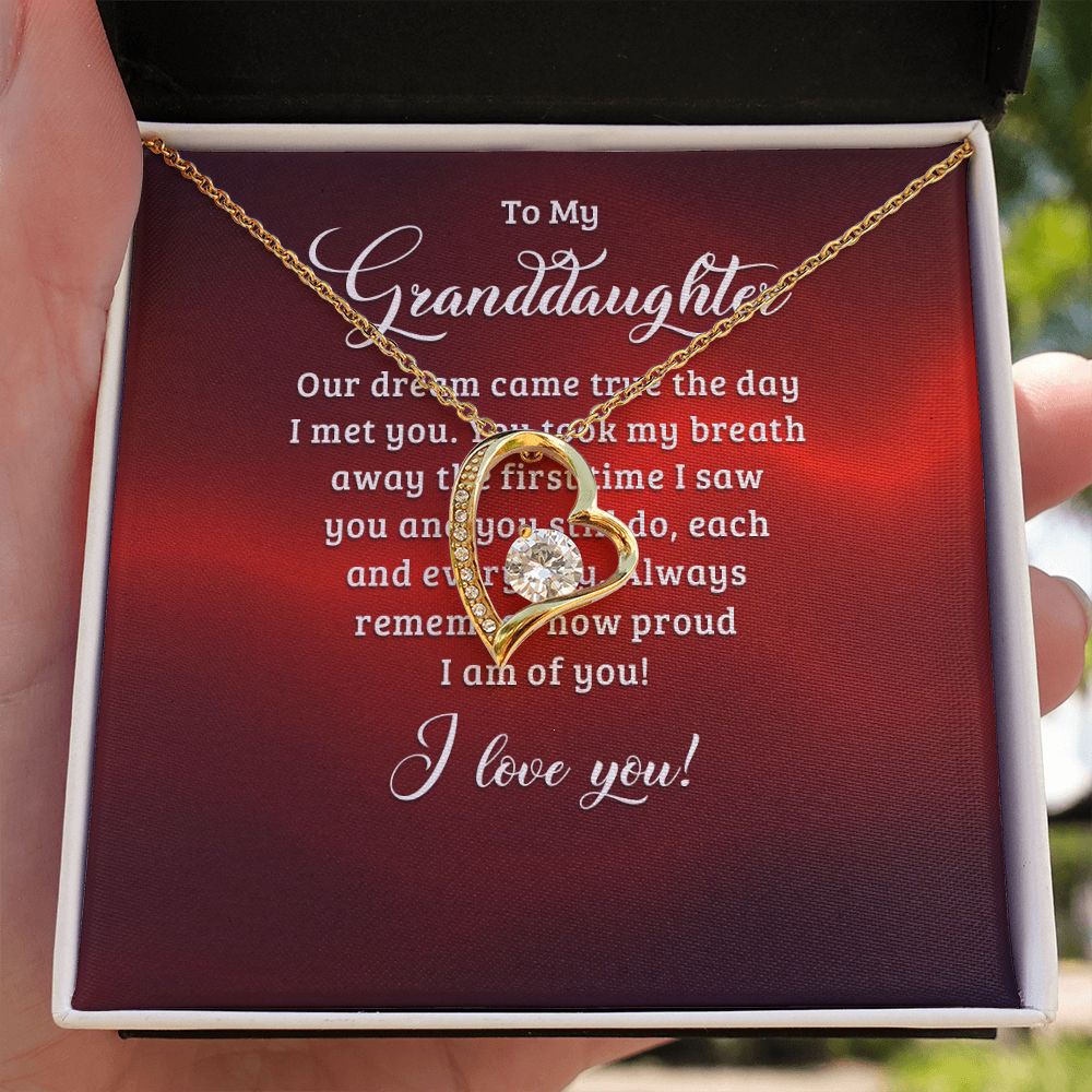 To My Granddaughter Our Dream Came True Forever Necklace w Message Card-Express Your Love Gifts