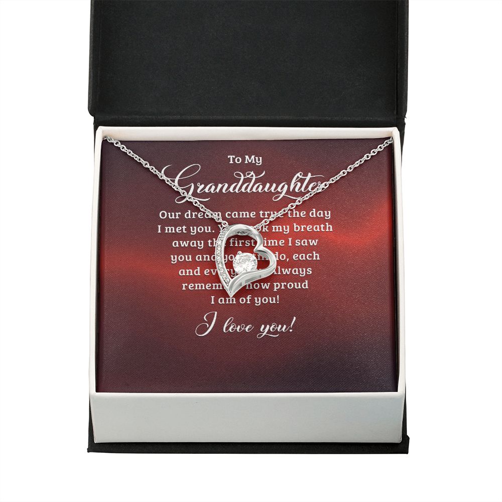 To My Granddaughter Our Dream Came True Forever Necklace w Message Card-Express Your Love Gifts
