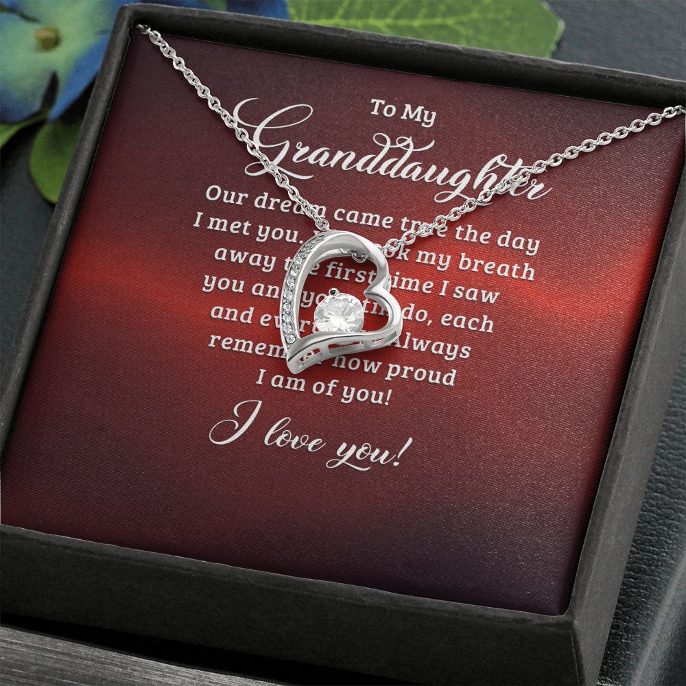 To My Granddaughter Our Dream Came True Forever Necklace w Message Card-Express Your Love Gifts
