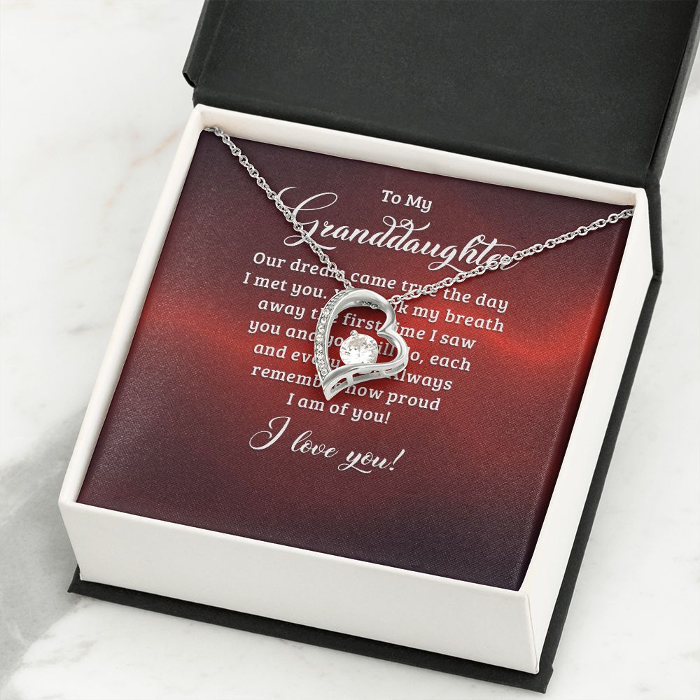 To My Granddaughter Our Dream Came True Forever Necklace w Message Card-Express Your Love Gifts
