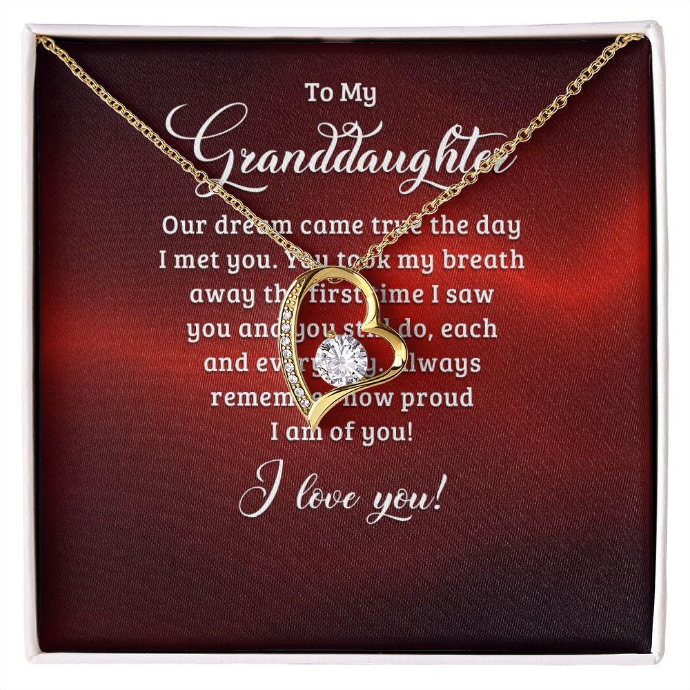 To My Granddaughter Our Dream Came True Forever Necklace w Message Card-Express Your Love Gifts