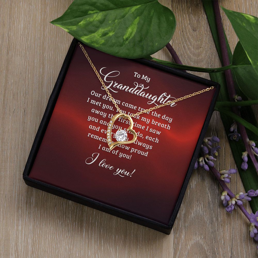 To My Granddaughter Our Dream Came True Forever Necklace w Message Card-Express Your Love Gifts