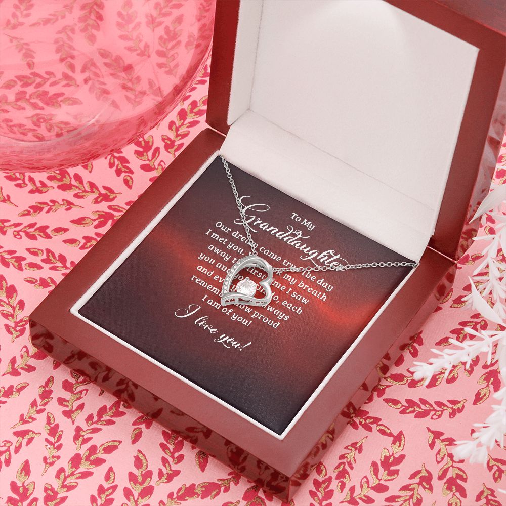 To My Granddaughter Our Dream Came True Forever Necklace w Message Card-Express Your Love Gifts