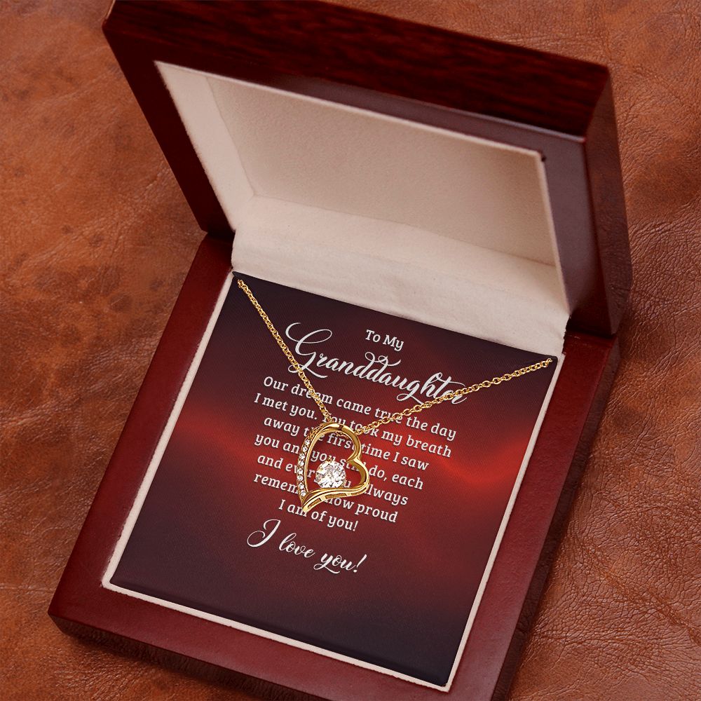 To My Granddaughter Our Dream Came True Forever Necklace w Message Card-Express Your Love Gifts