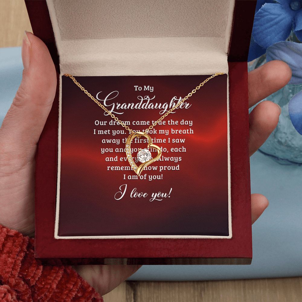 To My Granddaughter Our Dream Came True Forever Necklace w Message Card-Express Your Love Gifts