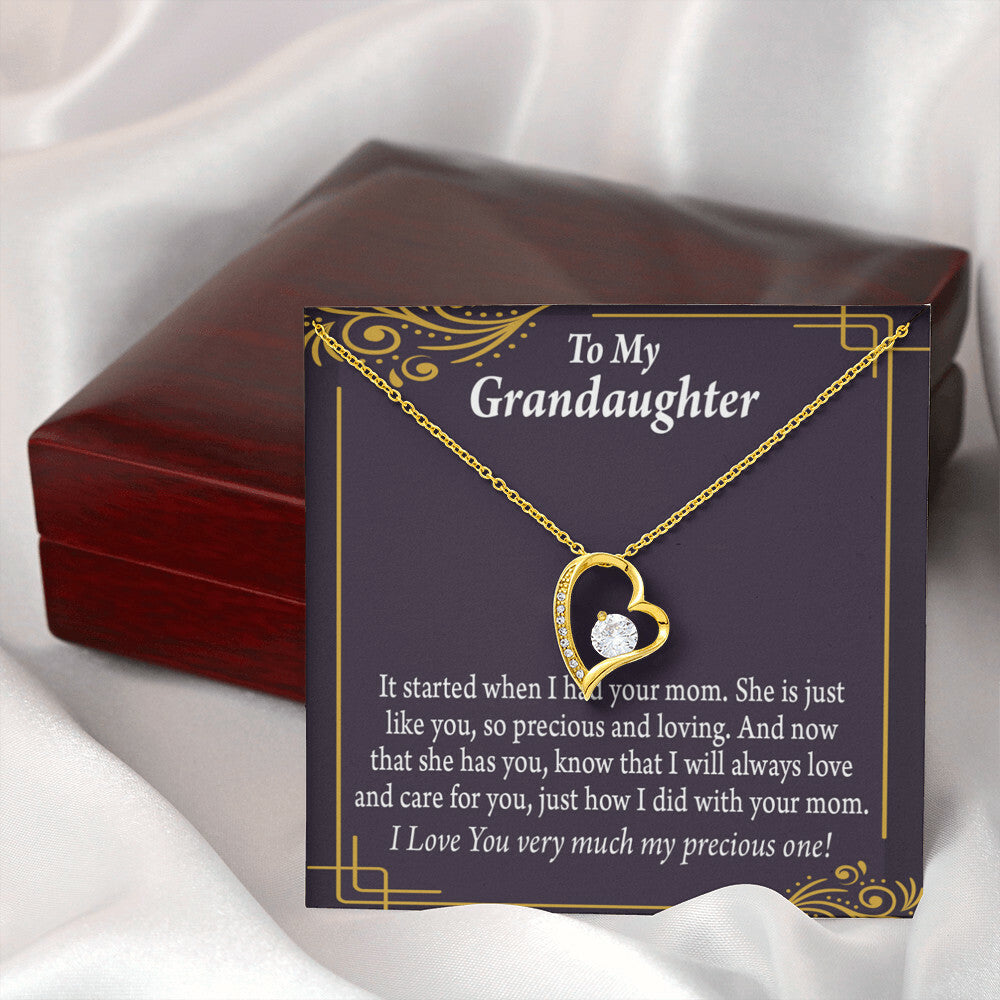 To My Granddaughter Precious One From Grandma Forever Necklace w Message Card-Express Your Love Gifts