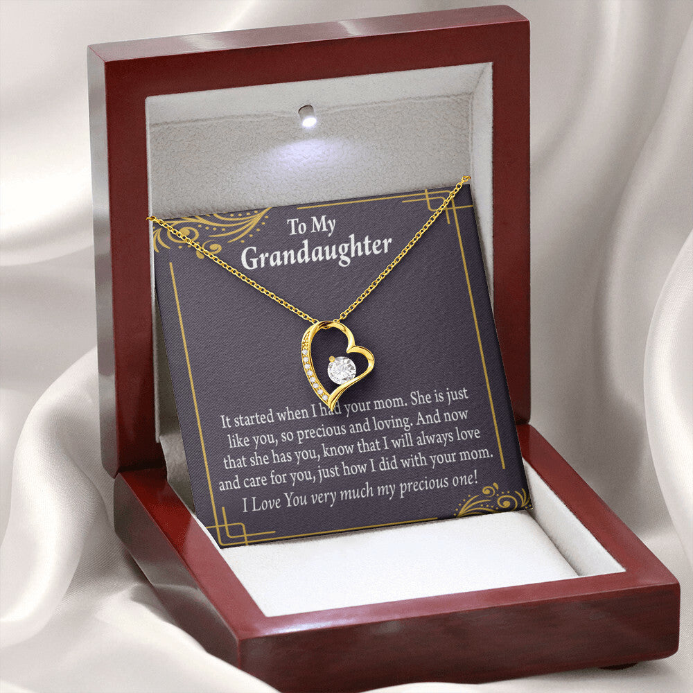 To My Granddaughter Precious One From Grandma Forever Necklace w Message Card-Express Your Love Gifts