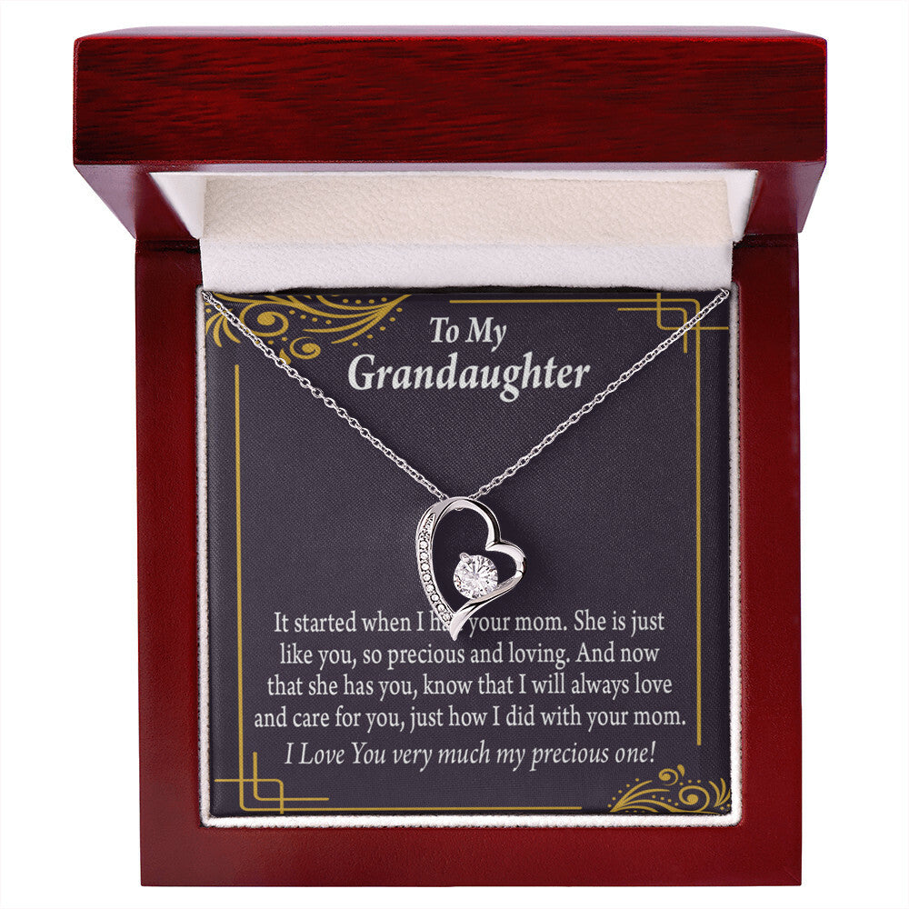 To My Granddaughter Precious One From Grandma Forever Necklace w Message Card-Express Your Love Gifts
